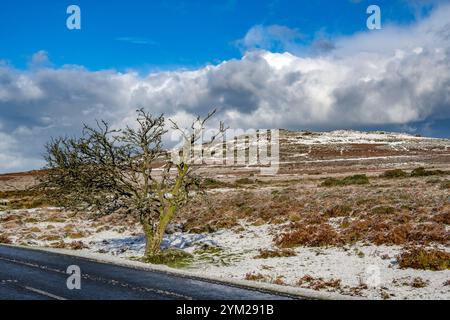 Vista dal Frosty Cox Tor Dartmoor Devon dalla strada Foto Stock