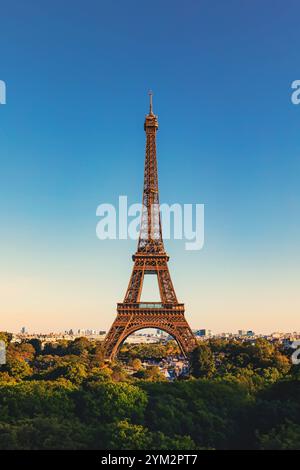 Ein ikonisches Bild des Eiffelturms a Parigi, Frankreich, aufgenommen an einem klaren Tag mit strahlend blauem Himmel. Der Turm steht majestätisch im Zentrum, umgeben von den Grünen Bäumen des Champ de Mars im Vordergrund. Die Warme Beleuchtung unterstreicht die Details der filigranen Eisenstruktur. Dieses foto fängt die Essenz der französischen Hauptstadt und ihres bekanntesten Wahrzeichens ein. *** Un'immagine iconica della Torre Eiffel a Parigi, in Francia, scattata in una giornata limpida con un cielo azzurro luminoso, la torre si erge maestosamente al centro, circondata dagli alberi verdi del campo di Marte Foto Stock