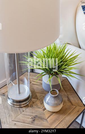 Una lampada siede su un tavolo di legno accanto ad un vaso e ad una pianta. La lampada è spenta e il tavolo è vuoto. La scena è calma e tranquilla, con la pianta A. Foto Stock