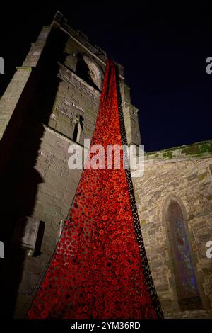 Chiesa di San Pietro a Wellesbourne: Una cascata di papavero sulla torre della chiesa contro il cielo notturno. Foto Stock