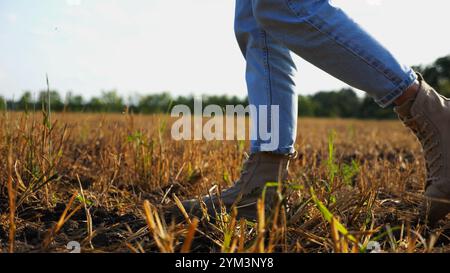I piedi femminili dell'agricoltore attraversano il prato di grano al tramonto. Gambe di agronomo in stivali che camminano tra le piantagioni di orzo al crepuscolo. Concetto di Foto Stock