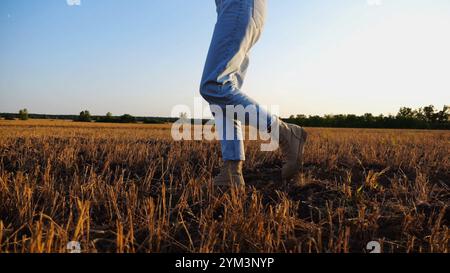 I piedi femminili dell'agricoltore attraversano il prato di grano al tramonto. Gambe di agronomo in stivali che camminano tra le piantagioni di orzo al crepuscolo. Concetto di Foto Stock