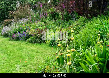 Phlomis,Euphorbia characias,nepeta nepeta sei colline gigante,geranio,astilbe,confine misto,confine misto perenne,letto misto,giardino,lungo confine perenne, Foto Stock