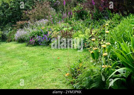 Phlomis,Euphorbia characias,nepeta nepeta sei colline gigante,geranio,astilbe,confine misto,confine misto perenne,letto misto,giardino,lungo confine perenne, Foto Stock