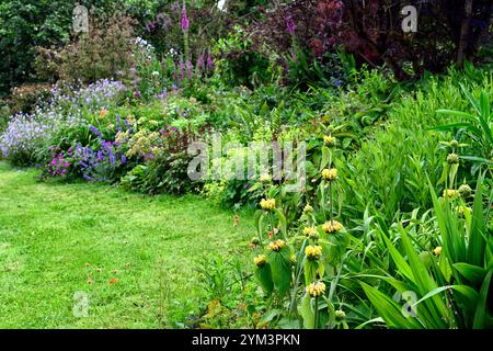 Phlomis,Euphorbia characias,nepeta nepeta sei colline gigante,geranio,astilbe,confine misto,confine misto perenne,letto misto,giardino,lungo confine perenne, Foto Stock
