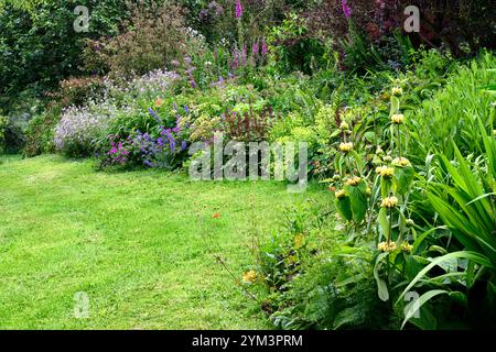 Phlomis,Euphorbia characias,nepeta nepeta sei colline gigante,geranio,astilbe,confine misto,confine misto perenne,letto misto,giardino,lungo confine perenne, Foto Stock