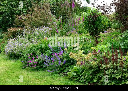 Euphorbia characias,nepeta nepeta sei colline giganti,geranio,astilbe,confine misto,confine misto perenne,letto misto,giardino,RM Floral Foto Stock