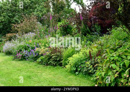 Euphorbia characias,nepeta nepeta sei colline giganti,geranio,astilbe,confine misto,confine misto perenne,letto misto,giardino,RM Floral Foto Stock