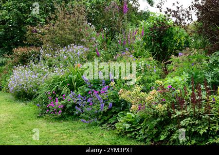 Euphorbia characias,nepeta nepeta sei colline giganti,geranio,astilbe,confine misto,confine misto perenne,letto misto,giardino,RM Floral Foto Stock