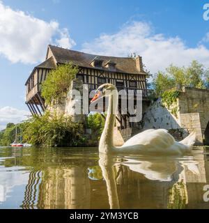 Cigno bianco di fronte al vecchio mulino sul ponte rotto sulla Senna a Vernon, Normandia, Francia Foto Stock