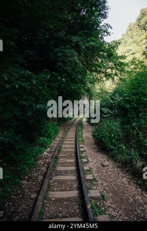 ferrovia per un treno in una verde foresta di montagna Foto Stock