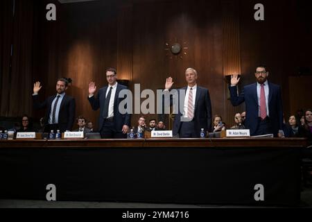 Da sinistra a destra: Isaac Stone Fish, Chief Executive Officer, Strategy Risks; Sam Bresnick, Research Fellow, Center for Security and Emerging Technology (CSET), Georgetown University; David Stehlin, Chief Executive Officer, Telecommunications Industry Association; e Adam Meyers, Senior Vice President, Crowdstrike, ha giurato di testimoniare davanti al giudice del Senato degli Stati Uniti - sottocommissione sulla privacy, la tecnologia e la legge per l'udienza per esaminare la minaccia della sicurezza informatica cinese, concentrandosi sui grandi hack e la grande tecnologia, a Capitol Hill a Washington DC martedì 19 novembre 2024. Crediti: Mattie ne Foto Stock