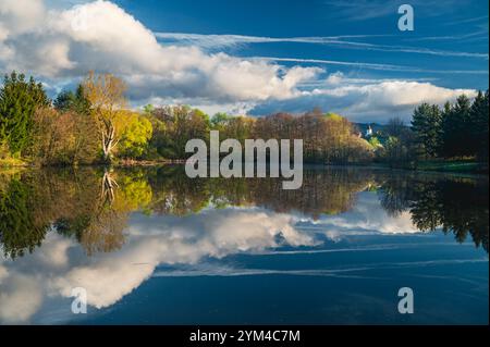 Un tranquillo paesaggio rurale caratterizzato da uno stagno primaverile, dove le prime sfumature di verde appaiono sugli alberi circostanti, creando un'atmosfera tranquilla Foto Stock