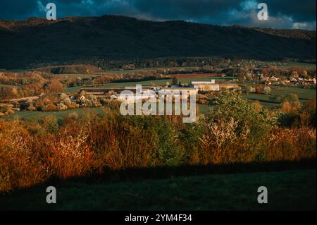 Cooperativa agricola e paesaggio agrario in primavera natura e luce mattutina Foto Stock