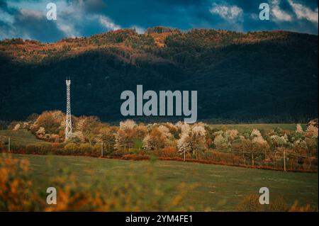 Cooperativa agricola e paesaggio agrario in primavera natura e luce mattutina Foto Stock