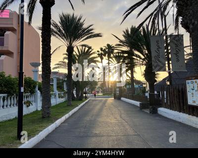 Palme all'alba sul lungomare di Playa de las Américas. Playa de las Américas, Arona, Tenerife, Isole Canarie, Spagna. 4 febbraio 2023. Foto Stock