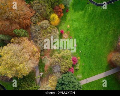 Vista aerea di splendidi alberi e fogliame autunnali Foto Stock