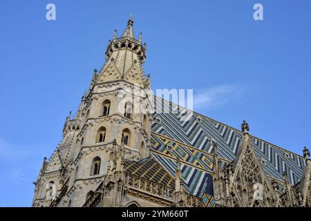 Vienna, Austria, architettura della cattedrale di Santo Stefano Foto Stock