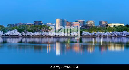 Governo e societa' di Rosslyn, Virginia, con fiori di ciliegio che si riflettono nel bacino di Tidal a Sunrise, USA Foto Stock