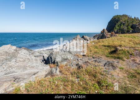 Cap-à-l’Orignal nel BIC National Park (Quebec, Canada) Foto Stock