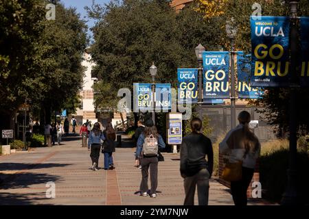 Westwood, Los Angeles, California, Stati Uniti - 16 novembre 2024: Gli studenti camminano nel campus principale dell'UCLA. Foto Stock