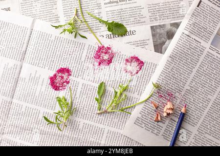 Fiori e matite colorate sul giornale. Foto Stock