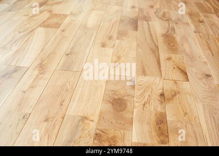 Splendido pavimento in legno in una casa di nuova costruzione Foto Stock