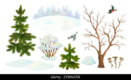 Set di elementi della natura acquerello. Costruttore di paesaggi invernali. Albero isolato senza foglie, cespuglio, abete, neve, bullfinch, profilo foresta di conifere Foto Stock