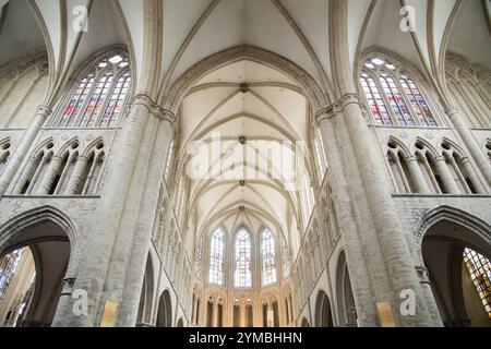 Presbiterio di Brabantino Gotico Co-Cathedrale collegiale des SS Michel et Gudule / Collegiale Sint Michiels en Sint Goedele co kathedraal (San Michele Foto Stock