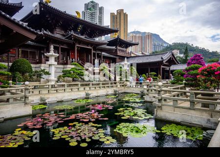 Tranquillo giardino con cortile a chi Lin Nunnery, Hong Kong Foto Stock