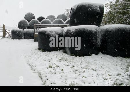 Doddiscombsleigh, Devon, Regno Unito. 21 novembre 2024. Meteo Regno Unito: Neve a Doddiscombsleigh, Teign Valley, Devon. Crediti: Nidpor/Alamy Live News Foto Stock