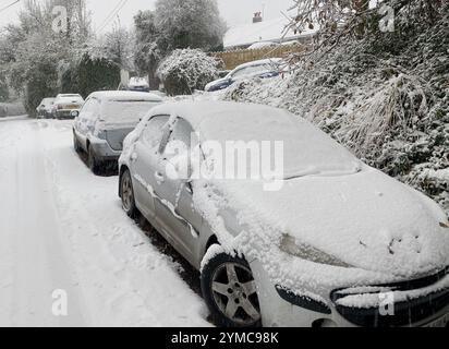 Doddiscombsleigh, Devon, Regno Unito. 21 novembre 2024. Meteo Regno Unito: Neve a Doddiscombsleigh, Teign Valley, Devon. Crediti: Nidpor/Alamy Live News Foto Stock