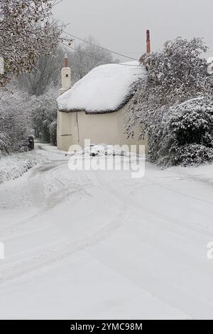 Doddiscombsleigh, Devon, Regno Unito. 21 novembre 2024. Meteo Regno Unito: Neve a Doddiscombsleigh, Teign Valley, Devon. Crediti: Nidpor/Alamy Live News Foto Stock