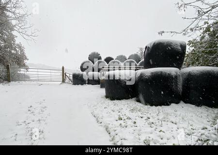 Doddiscombsleigh, Devon, Regno Unito. 21 novembre 2024. Meteo Regno Unito: Neve a Doddiscombsleigh, Teign Valley, Devon. Crediti: Nidpor/Alamy Live News Foto Stock