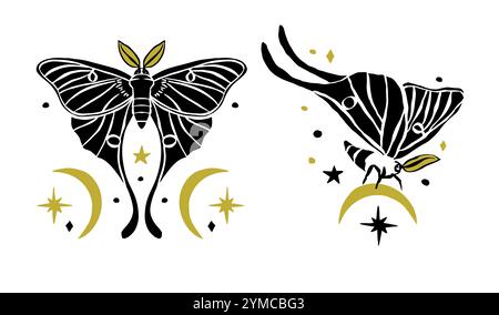 Le falene luna sono incastonate con lune e stelle disegnate a mano e silhouette nera isolata sul bianco Illustrazione Vettoriale