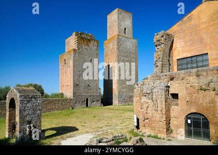 Facciata della chiesa, San Pietro, chiesa cattolica romana, Tuscania, provincia di Viterbo, regione Lazio, Italia Foto Stock