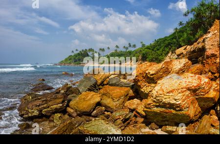 Paesaggio di una splendida isola tropicale, fresche palme verdi contro il cielo blu, spiaggia paradisiaca, luogo per il surf in Sri Lanka Foto Stock