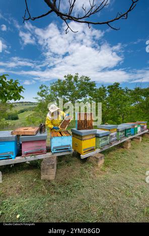 Treia. Azienda di apicoltura Foto Stock