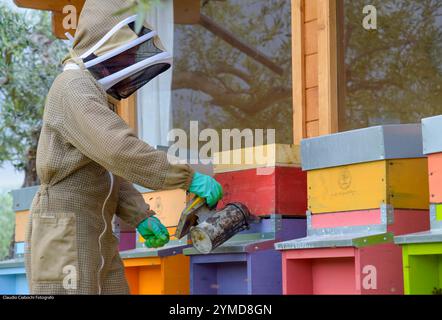 Treia. Azienda di apicoltura Foto Stock