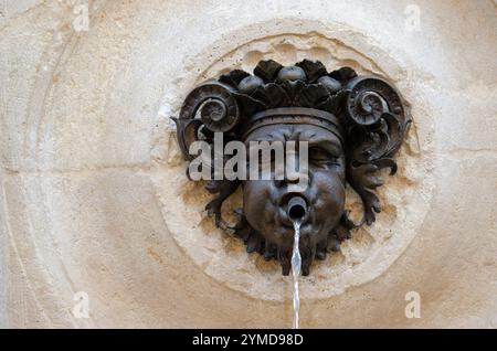 Ancona. Centro storico. Fontana del Calamo o dei tredici beccucci (maschera) Foto Stock