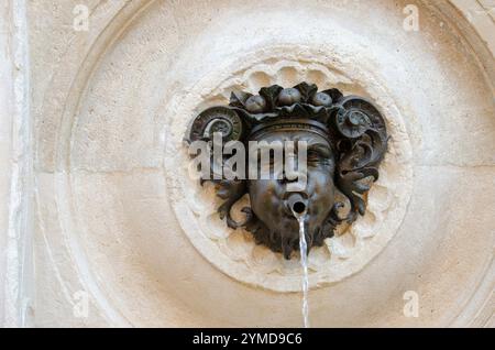 Ancona. Centro storico. Fontana del Calamo o dei tredici beccucci (maschera) Foto Stock