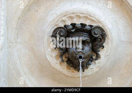 Ancona. Centro storico. Fontana del Calamo o dei tredici beccucci (maschera) Foto Stock