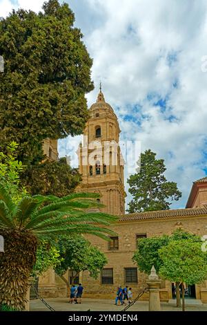 Catedral de la Encarnación de Málaga Foto Stock