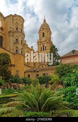 Catedral de la Encarnación de Málaga Foto Stock