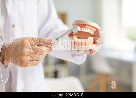 Igienista professionista che tiene in mano una dentatura e mostra come spazzolare i denti correttamente Foto Stock