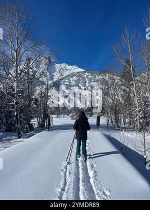 Sci di fondo femminile il giorno solare invernale a Jackson, Wyoming Foto Stock