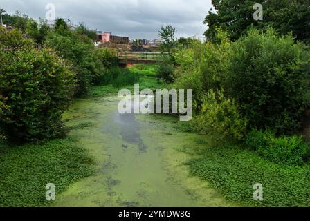 Il canale di navigazione Lee in lontananza, (edificio rosa ) H.. Forman & Son, la rinomata azienda di salmoni affumicati situata in Stour Road, Fish Island, London E3. East London la Lower Lea Valley, sede del London Olympic Games Park 2012, 26 luglio 2007. 2000 UK HOMER SYKES Foto Stock