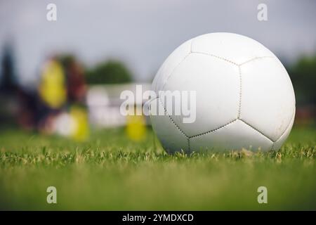 Pallone da calcio in erba verde con estate sfondo. Football Soccer attrezzature di formazione; la sfera di calcio, Pilone, cono su un campo di calcio. Campo di calcio Foto Stock