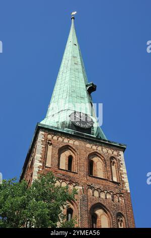 Cattedrale di San Giacomo, Svētā Jēkaba katedrāle, Jakobskirche, riga, Lettonia, Europa Foto Stock