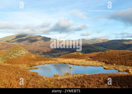 Su Loughrigg cadde guardando verso Froswick, Ill Bell e Yoke Ridge con un piccolo tarn in primo piano, Lake District, Inghilterra Foto Stock